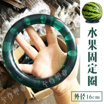 Watermelon gasket refined fruit supermarket head rubber ring round fruit fixed pads cantaline padding durian gasket