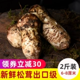 Shangri-La Wild Matsutake Fresh 1000G Fresh Pine Matsutake Yunnan Matsutake 6-8 см.