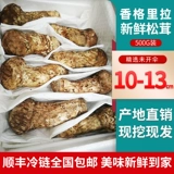 Fresh Matsutake 500G Shangri-La Xin Muskum Muscum 10-13 см. Юньнанские специализированные дикие грибы Matsutake Pine