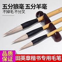 Zhang Mucheng and the brush large and medium small number Tian Yingzhang regular script brush writing room four Treasure Lake pen set Wolf sheep Ou Kai