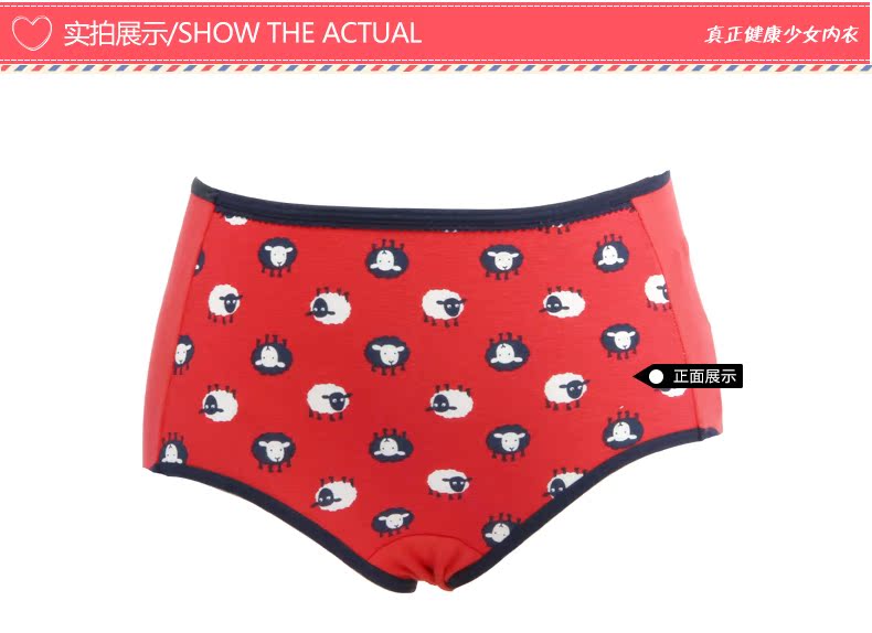 Slip ANNPHIA P155 en coton - Ref 646219 Image 10