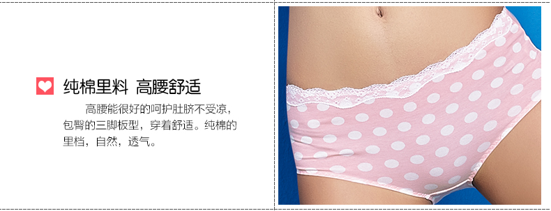 Slip ANNPHIA P157 en coton - Ref 646787 Image 8