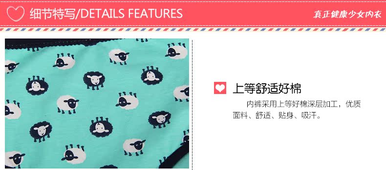 Slip ANNPHIA P155 en coton - Ref 646219 Image 7