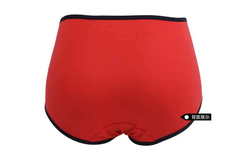 Slip ANNPHIA P155 en coton - Ref 646219 Image 12