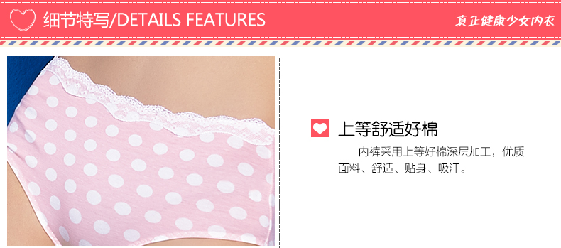 Slip ANNPHIA P157 en coton - Ref 646787 Image 7