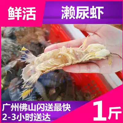 Fresh seafood (Setouchi shrimp male )spicy climbing shrimp male and female skin shrimp shrimp shrimp Gu rich shrimp