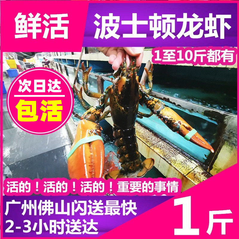 Live Boston Lobster Wrapped Live Australian Lobster Canadian Lobster Live Shrimp Seafood Guangdong two