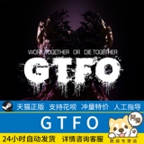 ПК искренняя китайская игра Steam Game GTFO Compopere Shooperation Game Выживание выживания