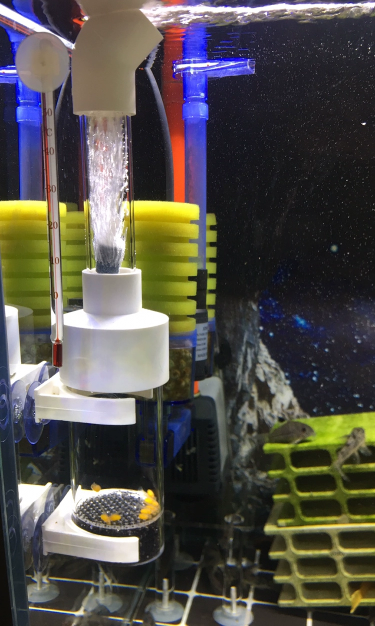 gGqUif2gxdSGFui65MgW1Jo9pye5JFKpTXOX