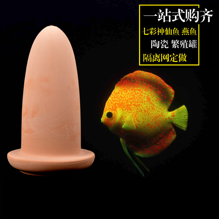 Seven Colorful Gods Fairy fish breeding jars spawning fish eggs Incubator Fish Tank Breeding Buckets of Egg-laying Barrels Colorful Breeding Jars