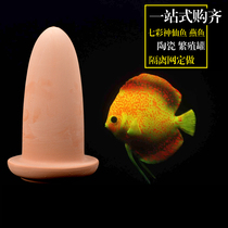 Colorful fairy fish breeding pot spawning jar swallow fish egg incubator fish tank breeding barrel spawning bucket colorful breeding pot