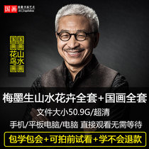 Mei Mo Sheng Chinese painting video tutorial Freehand Mustard seed Garden Ink landscape techniques Flowers a full set of basic introductory teaching