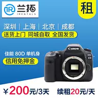 Cho thuê máy ảnh DSLR Thân máy đơn Canon 80D đi kèm với màn hình cảm ứng wifi Cho thuê máy ảnh Lanto - SLR kỹ thuật số chuyên nghiệp máy ảnh du lịch giá rẻ