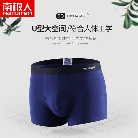 Antarctic cotton men's underwear male pants personality Sao youth sports pants male belts sexy short corners