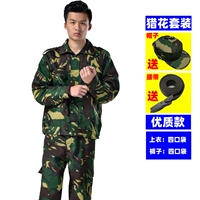 Комплект, шапка, ремень