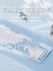 High-Quality Mechanical Feel Wired Membrane Keyboard and Mouse Set for Laptops, Suitable for Girls, Office Typing, Silent