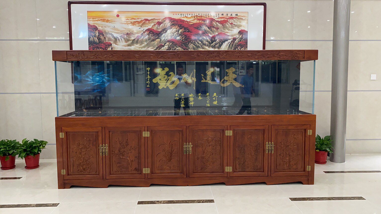 龙宫水族企业店