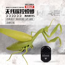 Remote control mantis toy shaking sound electric grass monkey remote control cockroach ladybug spider bee simulation induction animal tricky