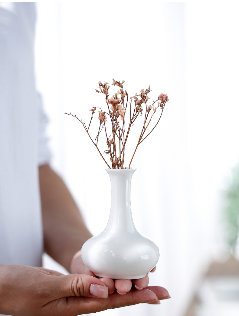 Tang's white porcelain floret bottle home furnishing articles I and contracted ceramic flower arranging dried flower flower implement sitting room household act the role ofing is tasted