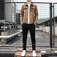 Коричневая рутина