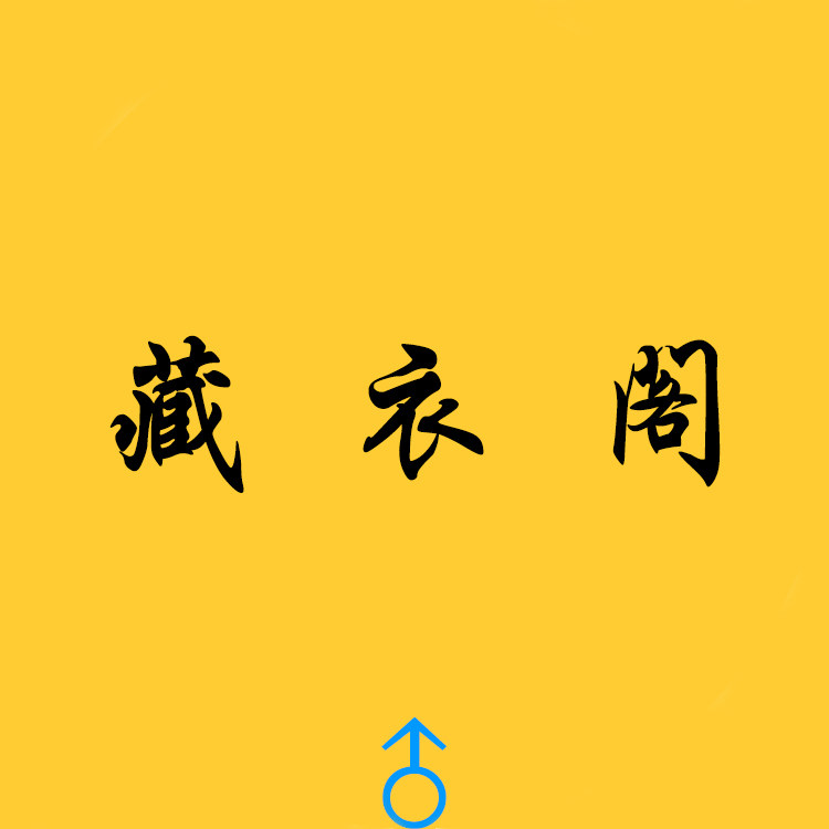 藏衣阁男童店