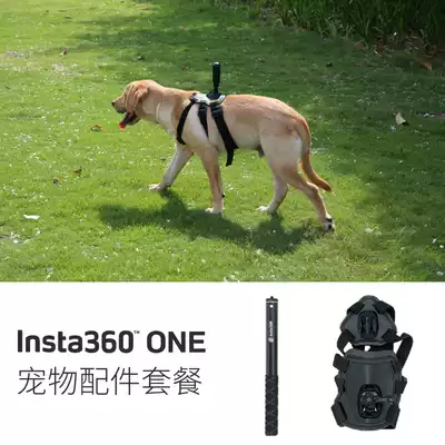 Pet accessories package Insta360 one X2 one r sports record home panoramic camera original accessories