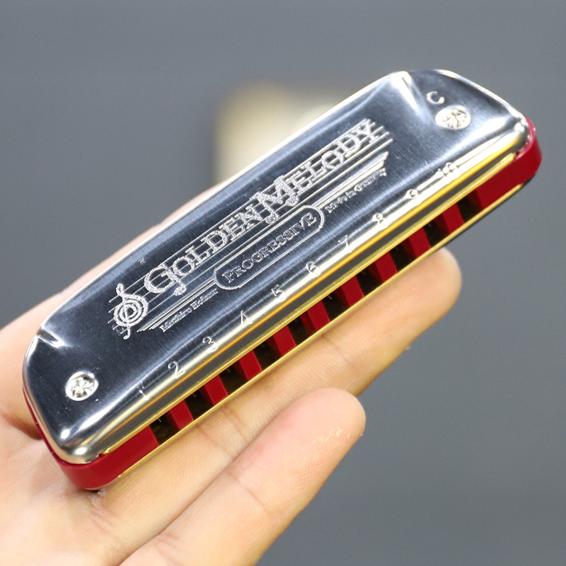 Germany Hohner and Les Golden Melody gm Ten 10 Hole Blues Harmonica Beginner Adult Child