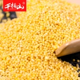千柏山 Huang Xiaomi 500G из Shanxi Huang Xiaomi Cipridge Новый рис съесть маленький желтый рис.