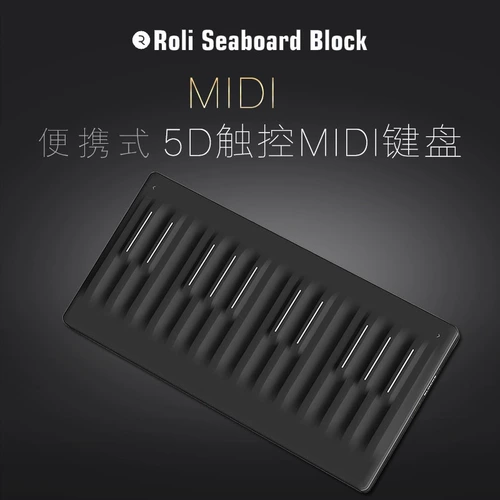 Roli Seaboard Block Block Electric Scholars DJ