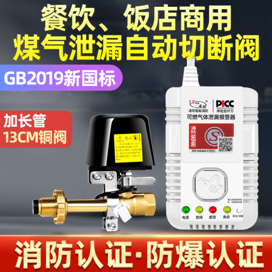 Gas alarm household kitchen catering combustible gas detection device commercial liquefied natural gas gas leakage