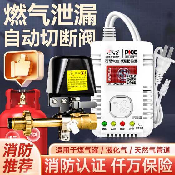 Gas alarm household kitchen catering combustible gas detection device commercial liquefied natural gas gas leakage