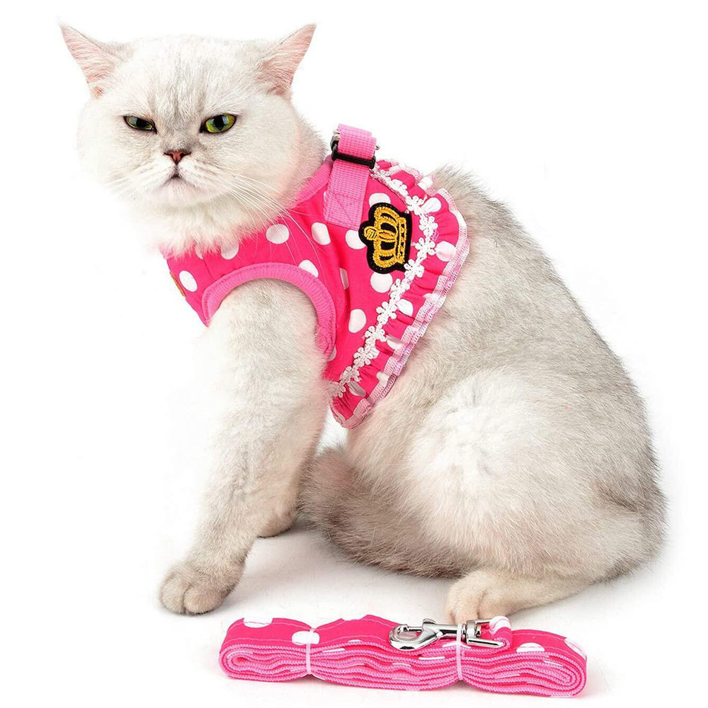 Netred small dog Teddy dog clothes spring and autumn walk dog vest-type chest with dog out traction rope