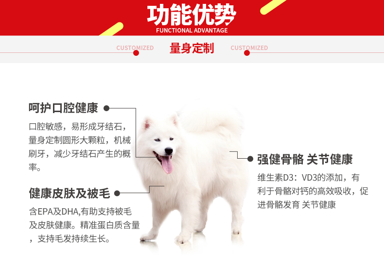 Chó con Samoyed thức ăn đặc biệt vật nuôi để nước mắt lông đẹp người lớn thức ăn cho chó bạc cáo thức ăn tự nhiên nói chung 5 kg - Chó Staples thức ăn royal canin