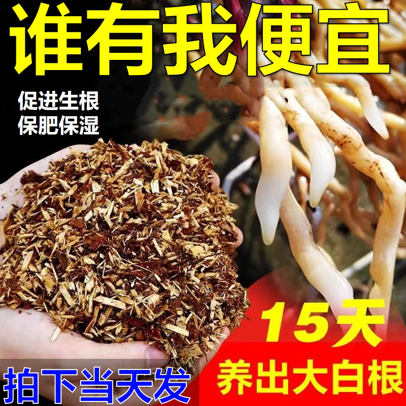 翁源兰花全国基地直供的LOGO