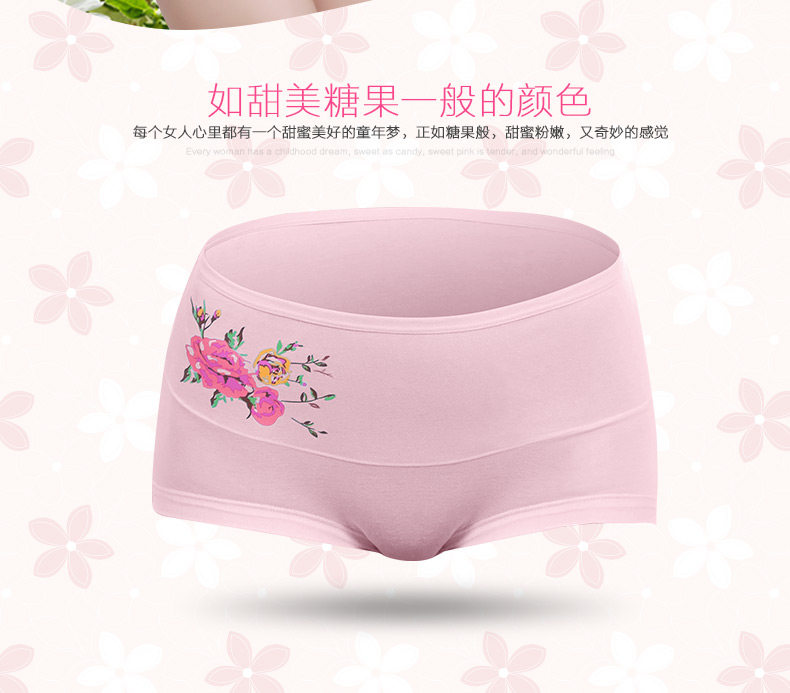 Slip jeunesse ZL036 en coton - Ref 665951 Image 7
