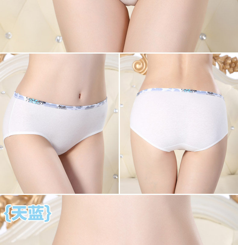 Slip jeunesse ADZL0063 en coton - Ref 665978 Image 16