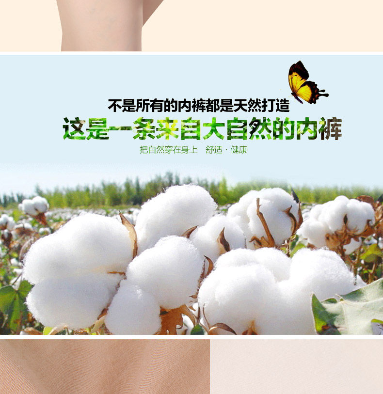 Slip jeunesse ADZL0063 en coton - Ref 665978 Image 8