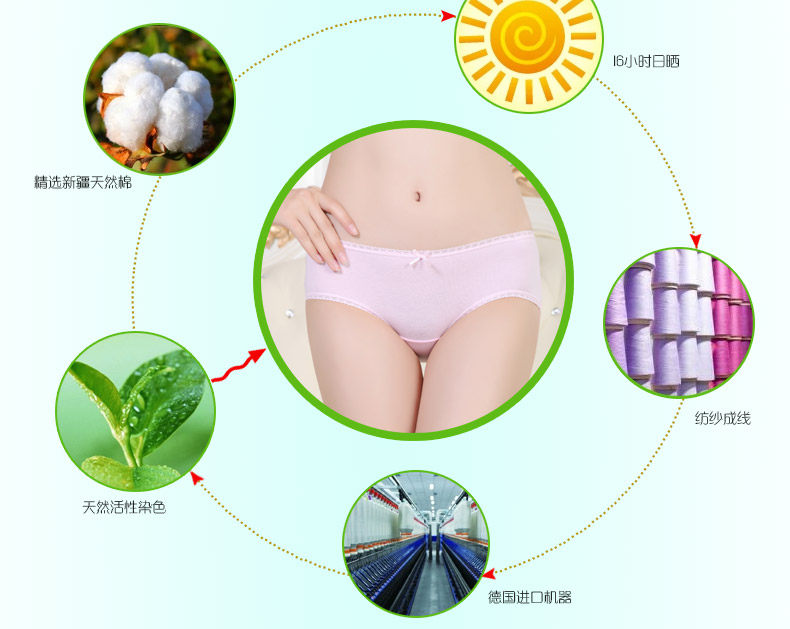 Slip jeunesse ADLSZL012 en coton - Ref 665989 Image 9