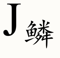 Pet multi-point koi feed breeding body enhancement bright red Suzaku low water temperature bone pa floating and sinking small packet packaging