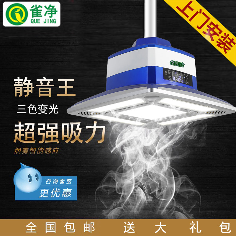 Bird net study Dining room Mahjong machine Smoking machine Air purifier Smoking lamp automatic lifting chandelier remote control