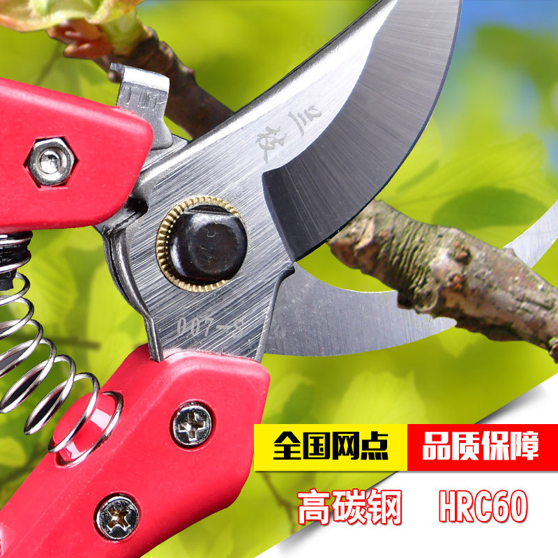 Prunes Cut Fruit Tree Scissors Garden Art Tools Bonsai Tools Lanbranches 007 Prune Branches Scissors High Carbon Steel Flower Cut