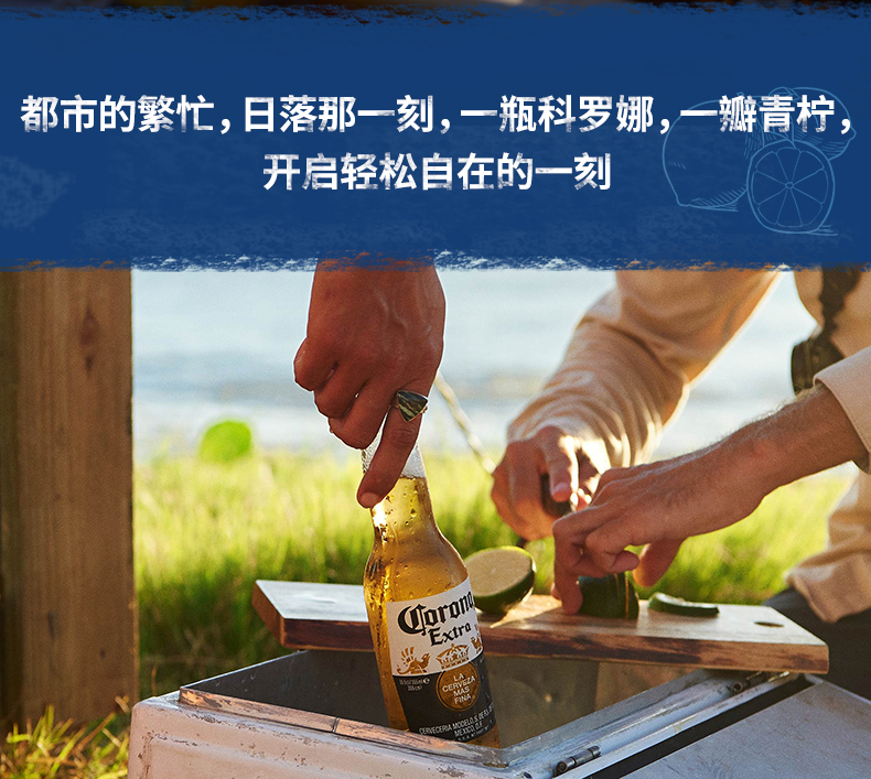 墨西哥原瓶进口 科罗娜 精酿特级小麦啤酒 330ml*24瓶 图2
