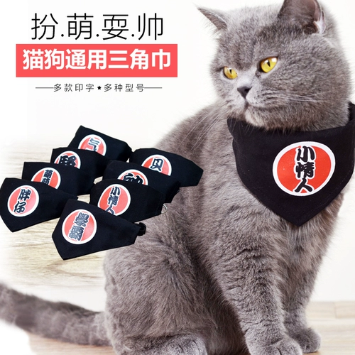 Личная сковорода красиво, одетая в милый питомец -треугольник шарф золотые волосы кошка плюшевая собака рта водяной полотенце, рот, кольцо шеи