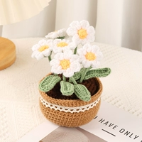 Маленькие растения в горшках (материал содержит учебники для инструментов)