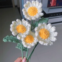 Дейзи Букет (12 крючков)