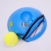 Decathlon balls rebound tennis / tennis tennis / căng tennis