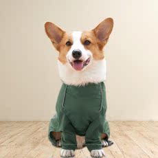 Гнездо durable pet apparel adjustable buckle