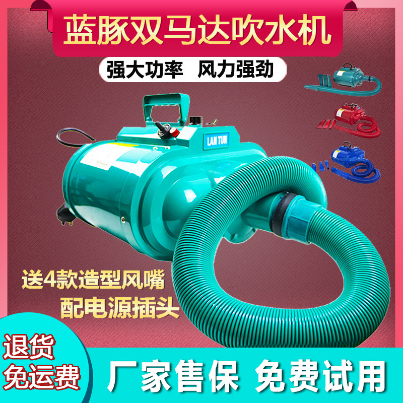 Blue Dolphin Double Motor High Power Blow Water Machine Pet Golden Hair Large Dog Pet Store Blow-dry Hair God Instrumental Bass Blow-Taobao