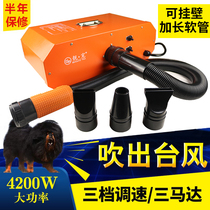 Pet water blower with three motors high-power dog bathing large dog hair blowing car wash shop car blowing industrial water blowing machine