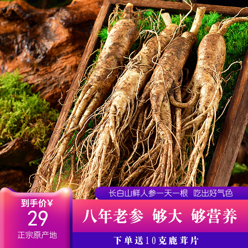 Fresh ginseng wine Jilin Teryield fresh extra-large wild Mountain Ginseng megacities Changbai Mountain adult ginseng 500 gr